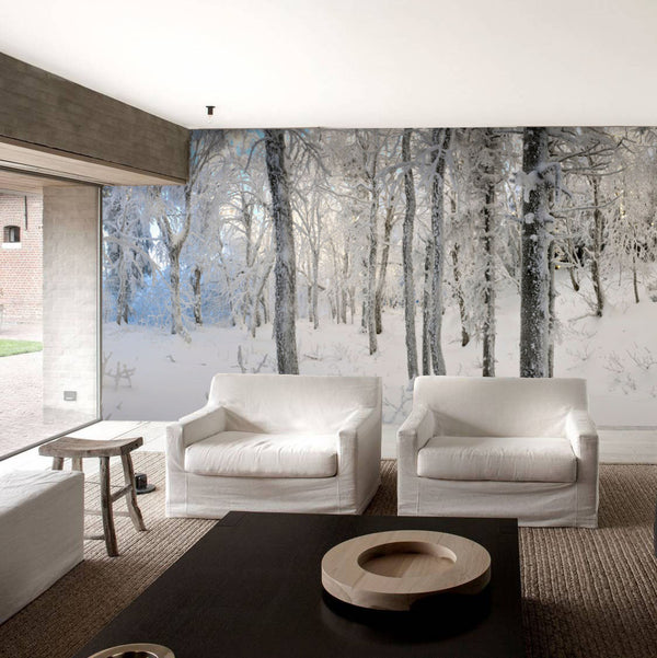 After a Soft Snowfall HD Mural - WYNIL by NumerArt Wallpaper and Art