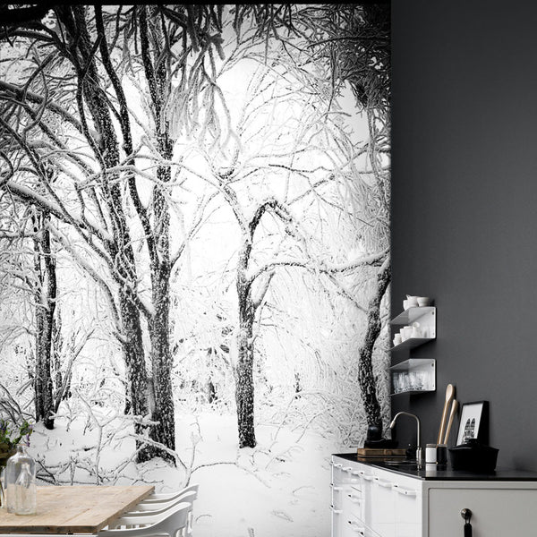 Calming Winter Forest HD Mural - WYNIL by NumerArt Wallpaper and Art