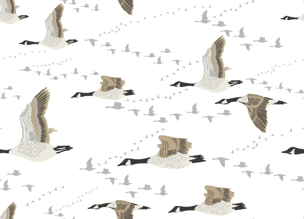 Canada Geese Wallpaper - WYNIL by NumerArt Wallpaper and Art