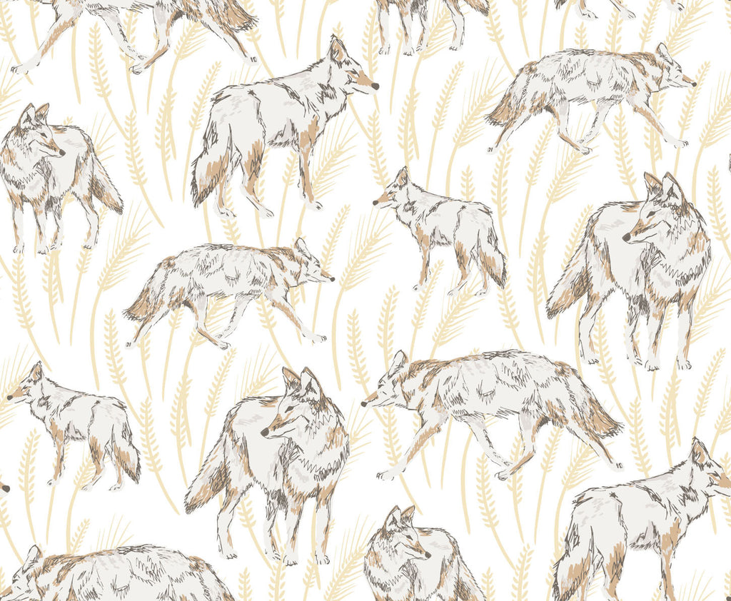 Coyote Golden Wallpaper - WYNIL by NumerArt Wallpaper and Art