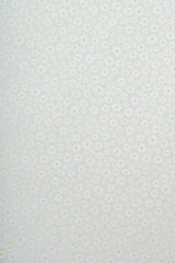 Daisy Cream Wallpaper