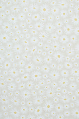 Daisy Cream Wallpaper