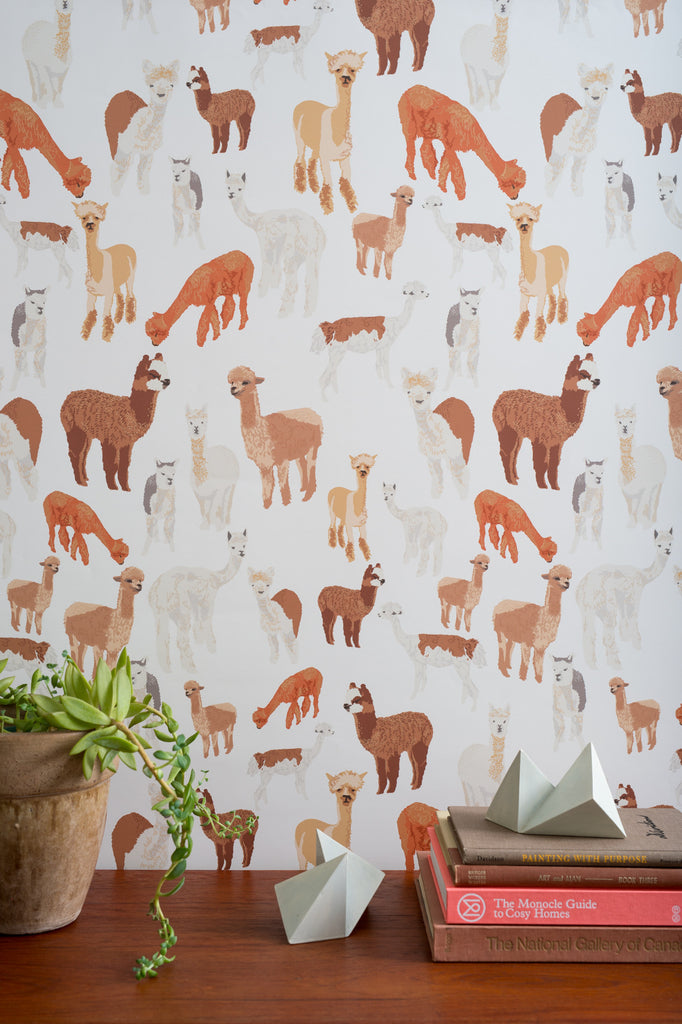 Alpaca Wallpaper - WYNIL by NumerArt Wallpaper and Art