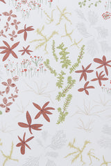 Bog White Wallpaper - WYNIL by NumerArt Wallpaper and Art