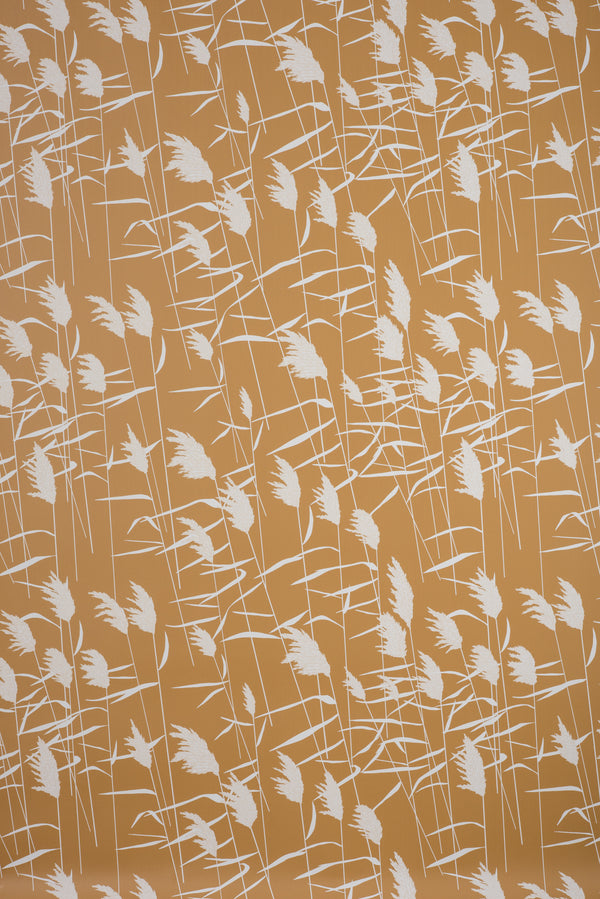 Grasses Dusk Wallpaper - WYNIL by NumerArt Wallpaper and Art