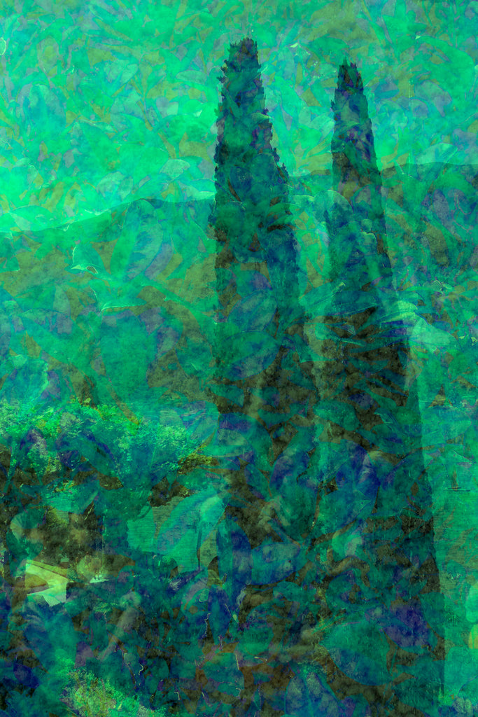 Trees of Lake Como Mural