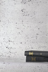 Concrete Painted White Wallpaper - WYNIL by NumerArt Wallpaper and Art