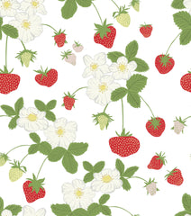 Strawberry Social Wallpaper - WYNIL by NumerArt Wallpaper and Art