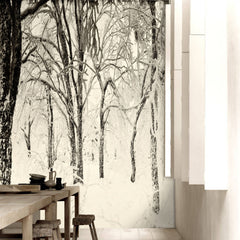 Soft Light Snow Forest HD Mural - WYNIL by NumerArt Wallpaper and Art